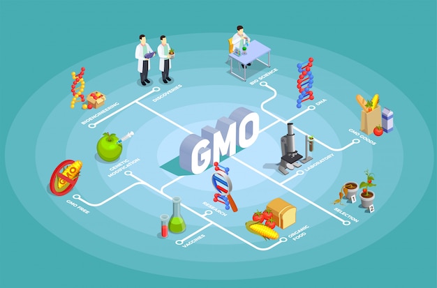 Organigramme D'organismes Génétiquement Modifiés