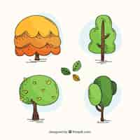 Vecteur gratuit pack d'arbres dans un style dessiné à la main