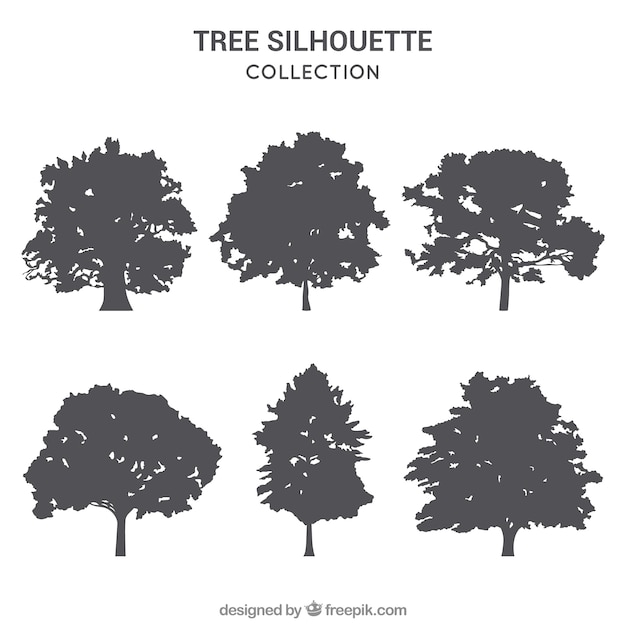 Pack D'arbres Avec Silhouette