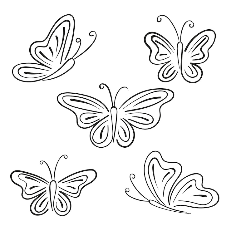 Vecteur gratuit pack de contour de papillon dessiné à la main