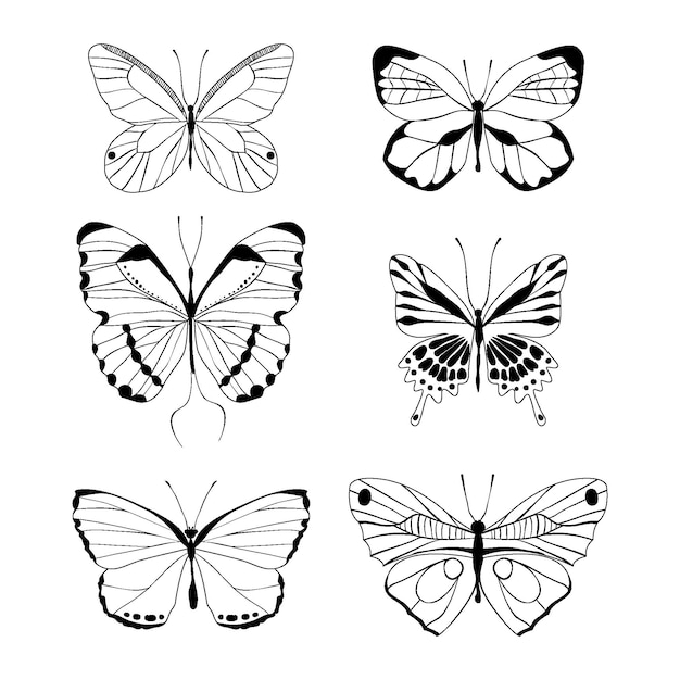 Vecteur gratuit pack de contour de papillon dessiné à la main