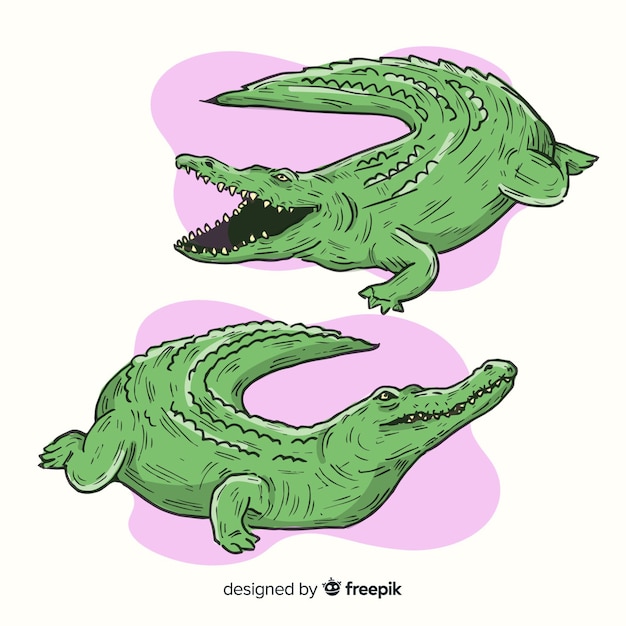 Vecteur gratuit pack de crocodile dessiné à la main