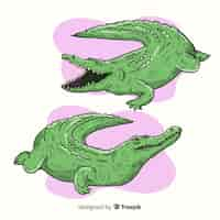 Vecteur gratuit pack de crocodile dessiné à la main