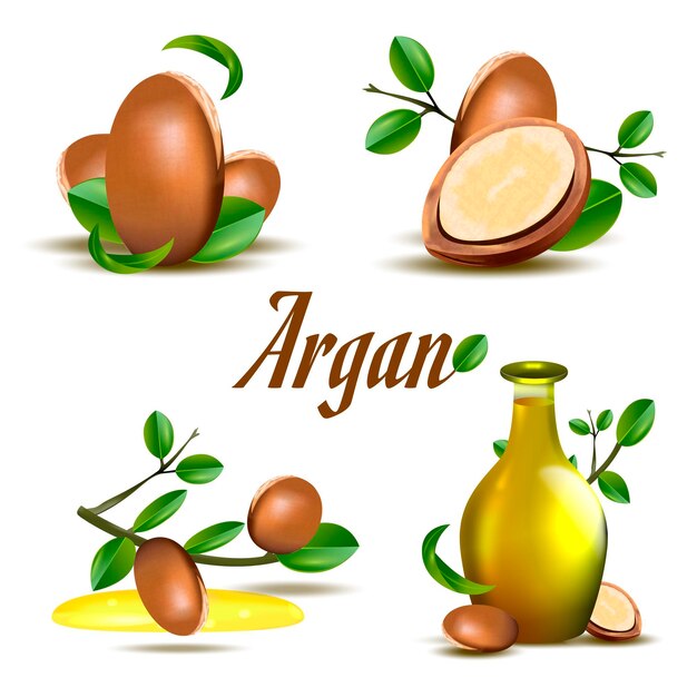 Pack détaillé d'éléments d'huile d'argan
