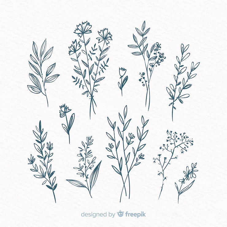 Vecteur gratuit pack d&#39;éléments décoratifs floraux dessinés à la main