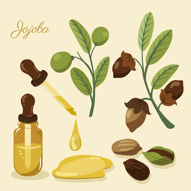 Vecteur gratuit pack d'éléments de jojoba détaillé