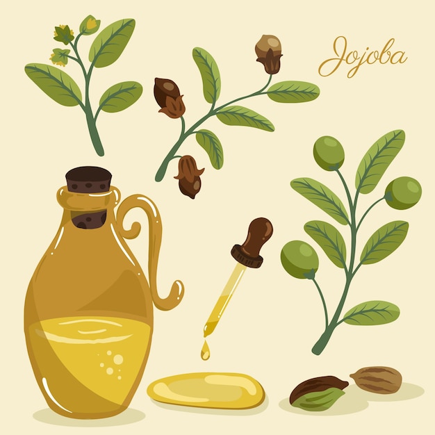 Vecteur gratuit pack d'éléments de jojoba détaillé