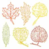 Vecteur gratuit pack de feuilles d'automne