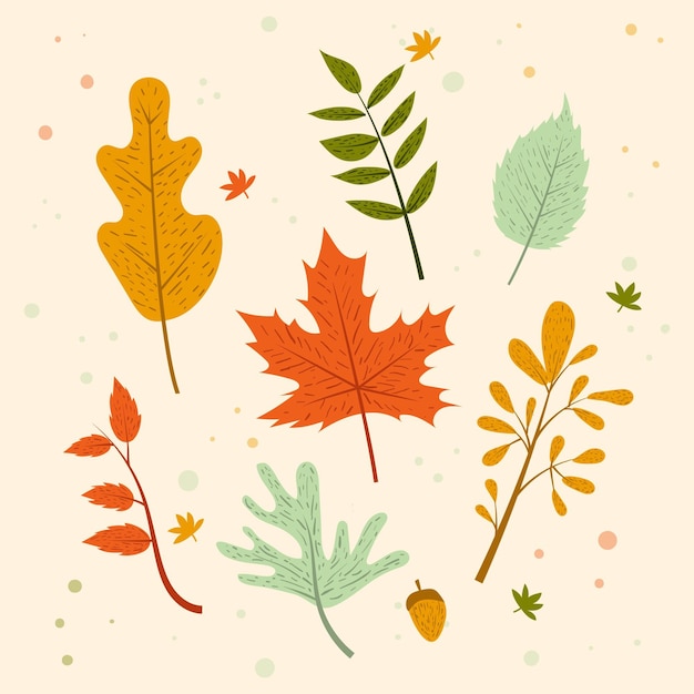 Pack De Feuilles D'automne