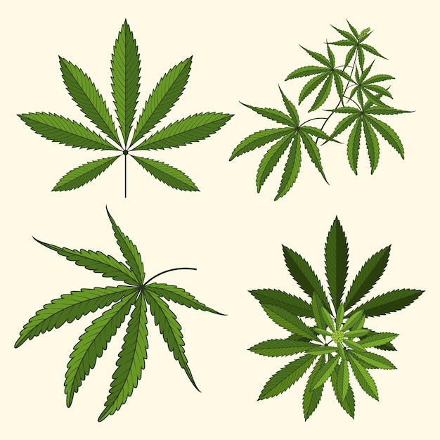 Pack de feuilles de cannabis aquarelle