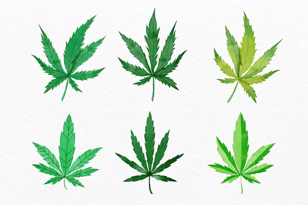 Vecteur gratuit pack de feuilles de cannabis aquarelle