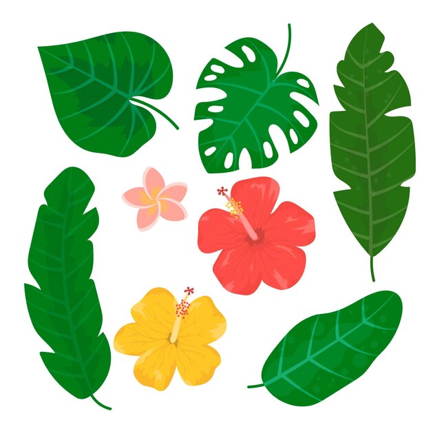 Pack de feuilles et de fleurs tropicales