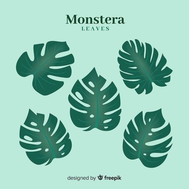 Vecteur gratuit pack de feuilles de monstera dessinées à la main