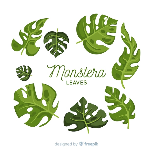 Vecteur gratuit pack de feuilles de monstera dessinées à la main