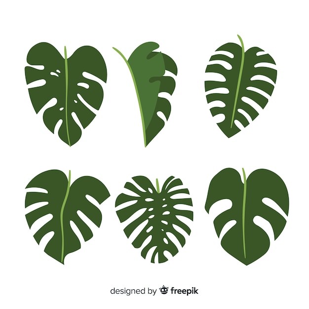 Vecteur gratuit pack de feuilles de monstera dessinées à la main