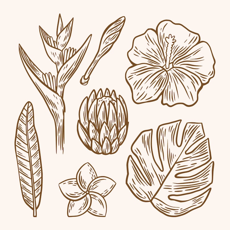 Vecteur gratuit pack de fleurs et de feuilles de contour tropical
