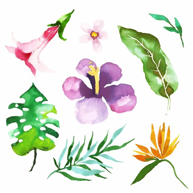 Pack de fleurs et de feuilles tropicales aquarelle