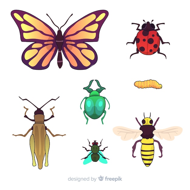 Vecteur gratuit pack d'insectes colorés dessinés à la main