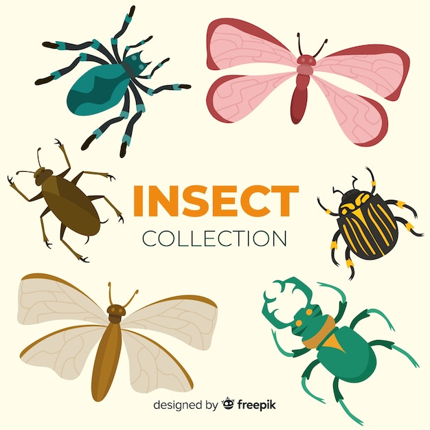 Vecteur gratuit pack d'insectes colorés dessinés à la main