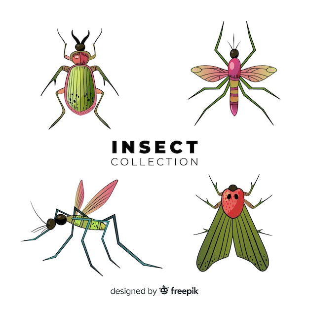 Pack d&#39;insectes colorés dessinés à la main