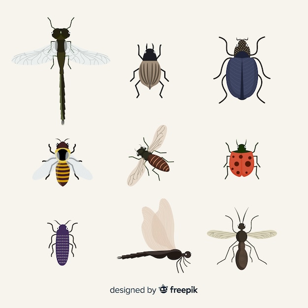 Vecteur gratuit pack d'insectes plats