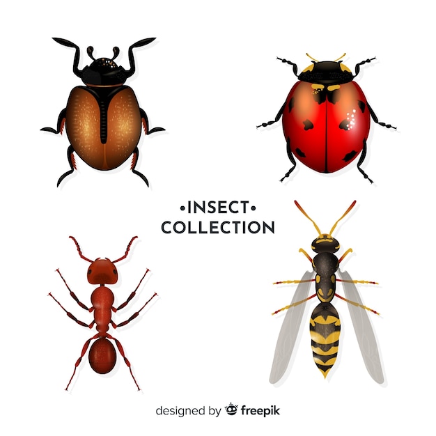 Vecteur gratuit pack d'insectes réalistes