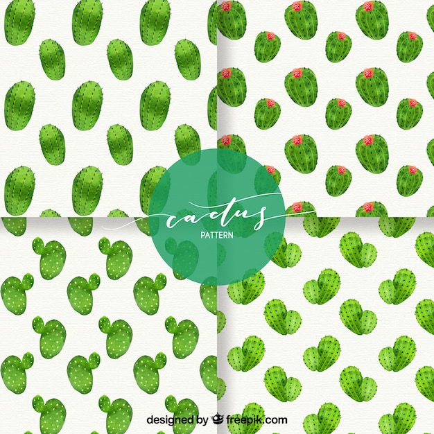 Vecteur gratuit pack lovelly de motifs de cactus aquarelle