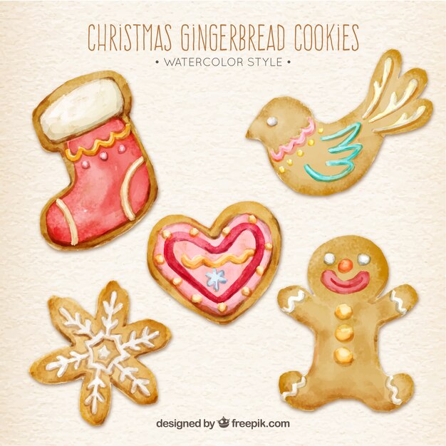 Pack of aquarelle christmas biscuits décoratifs