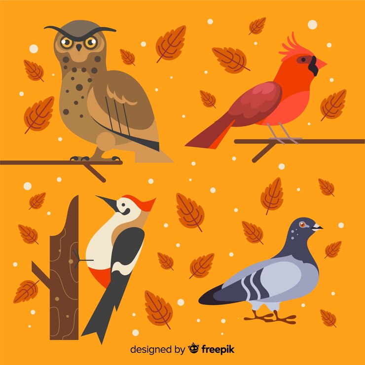 Vecteur gratuit pack d'oiseaux dessinés à la main