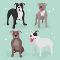 Vecteur gratuit pack pitbull design plat