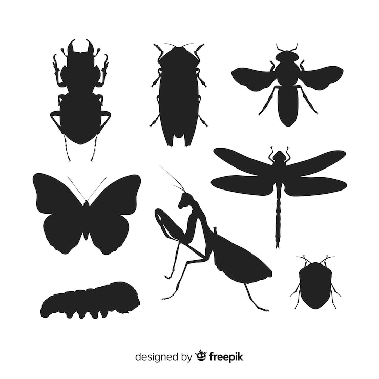 Vecteur gratuit pack silhouette insecte