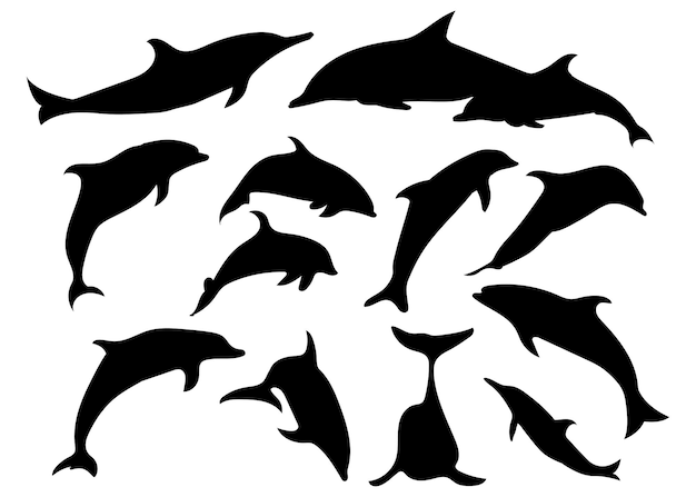 Pack de silhouettes de dauphins de silhouettes de poissons