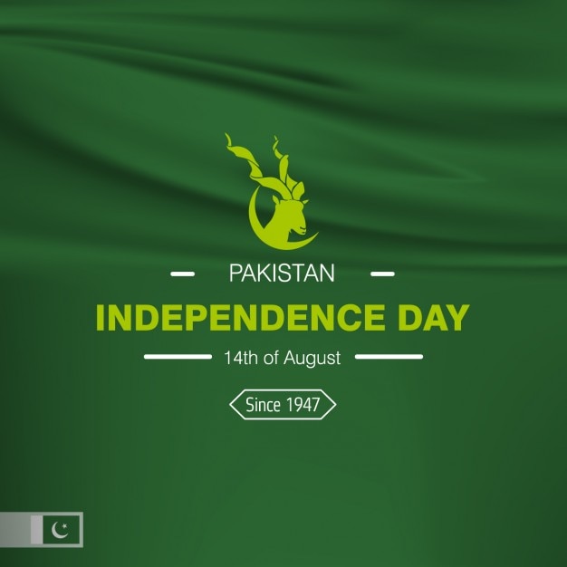 Vecteur gratuit pakistan jour de l'indépendance conception de fond