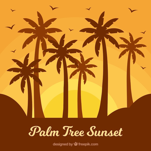 Vecteur gratuit palmier coucher de soleil
