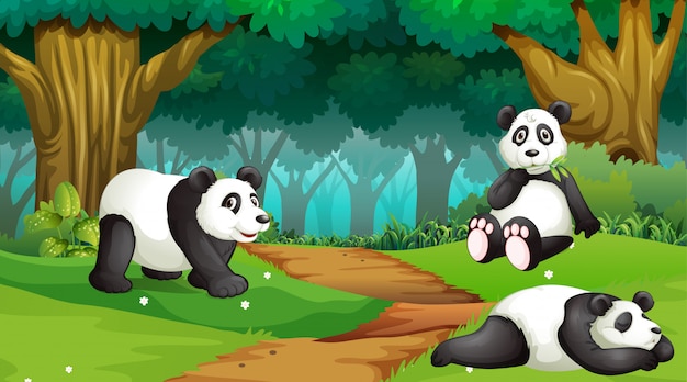 Pandas En Bois