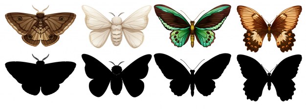 Vecteur gratuit papillon de couleur et de silhouette différentes