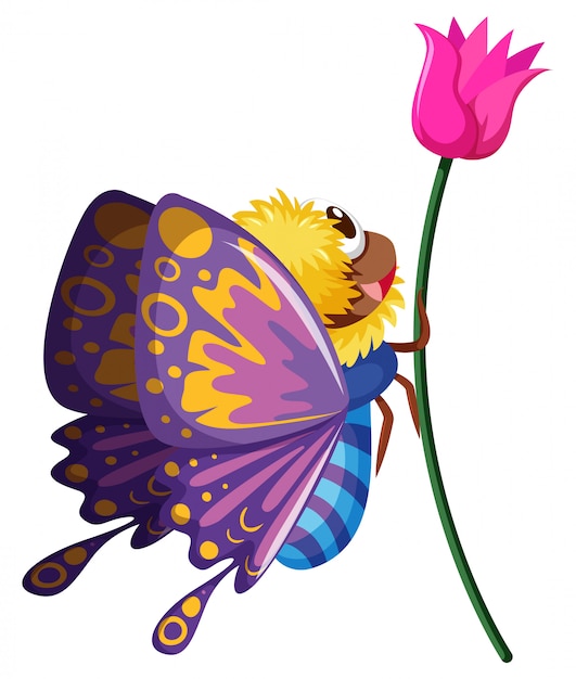 Papillon Volant Par La Fleur Rose