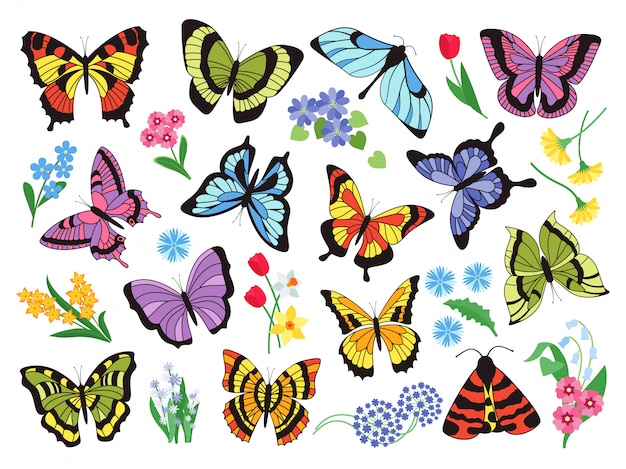 Papillons colorés. collection simple dessiné à la main de papillons et de fleurs isolé sur fond blanc. collection graphique dessinée insecte volant vintage