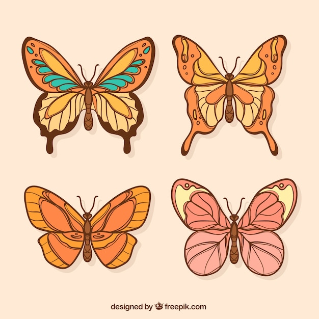 Papillons Colorés Avec Variété De Modèles