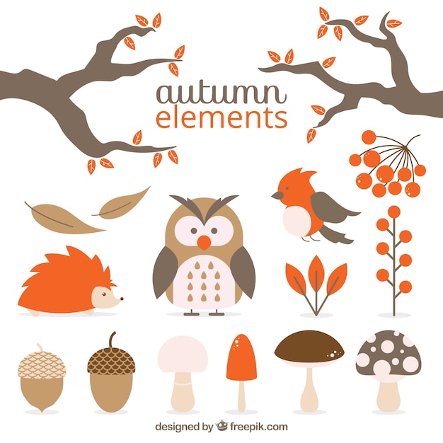 Paquet d&#39;animaux et des éléments naturels d&#39;automne