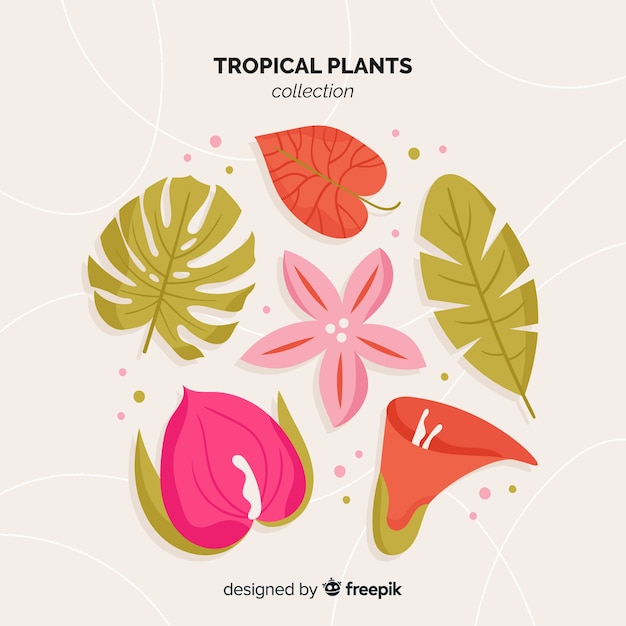 Vecteur gratuit paquet de feuilles et de fleurs tropicales plates