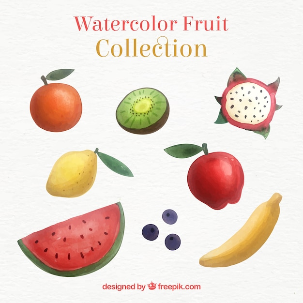 Vecteur gratuit paquet de fruits aquarelle