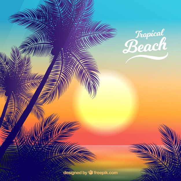 Vecteur gratuit paradise plage tropicale avec beau coucher de soleil