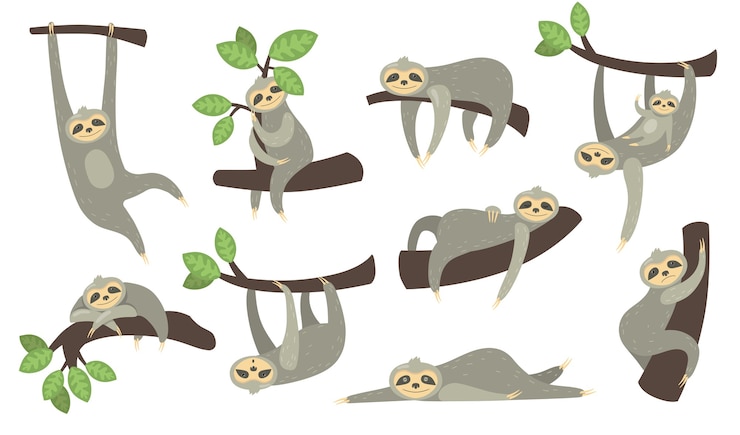 Vecteur gratuit paresseux endormi mignon sur jeu d'icônes plat branche. personnage de dessin animé de petit paresseux suspendu, dormant, couché ou jouant avec la collection d'illustration vectorielle bébé isolé