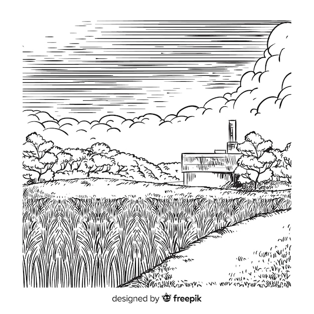 Paysage agricole dessiné à la main