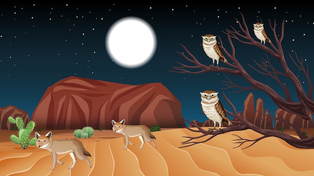 Paysage désertique sauvage à la scène de nuit