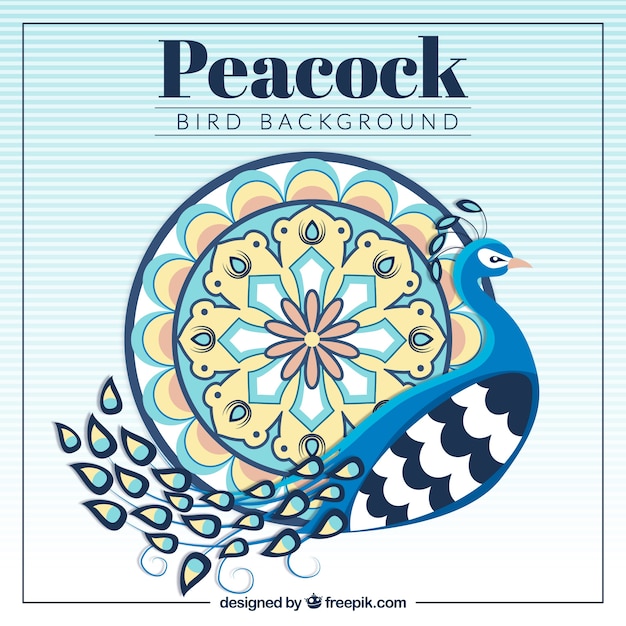 Peacock Fond