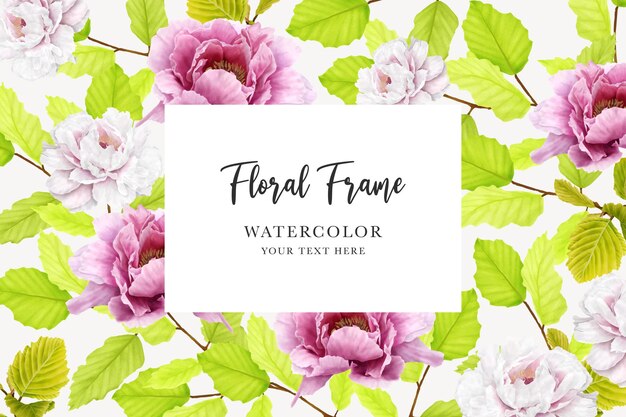 peonies aquarelle arrière-plan floral et illustration du cadre