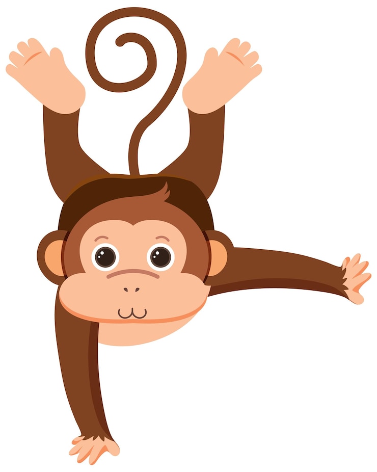 Vecteur gratuit personnage de dessin animé de danse de singe