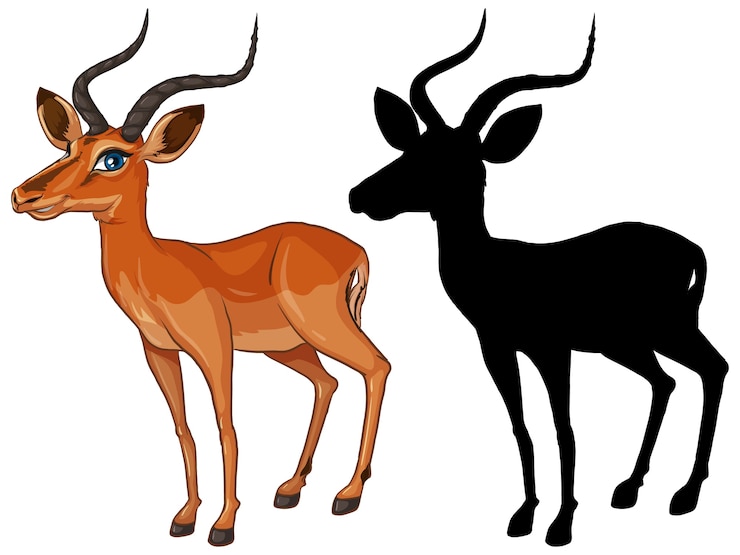 Vecteur gratuit personnage de dessin animé de gazelle et sa silhouette sur fond blanc